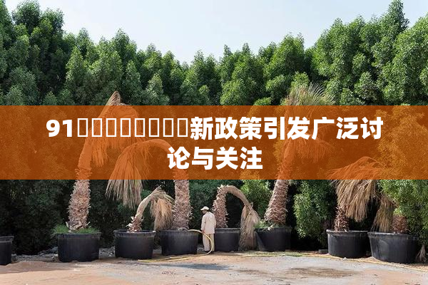91❌‌❌‌❌‌❌‌新政策引发广泛讨论与关注