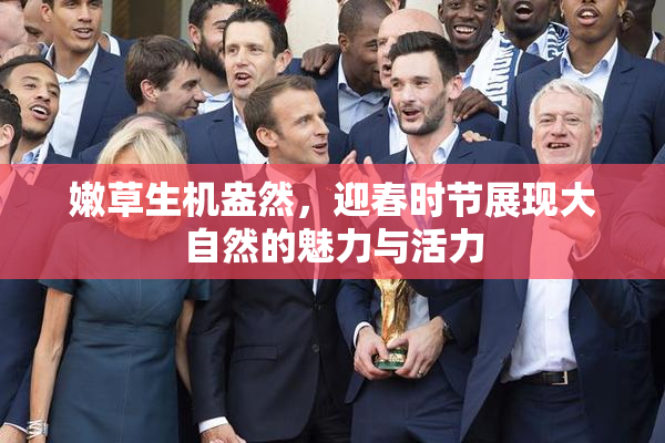 嫩草生机盎然，迎春时节展现大自然的魅力与活力