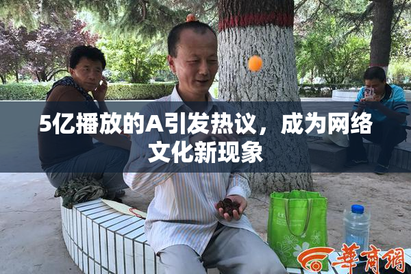 5亿播放的A引发热议，成为网络文化新现象