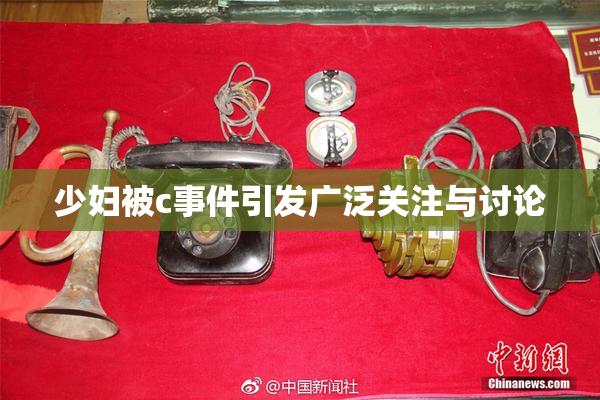 少妇被c事件引发广泛关注与讨论