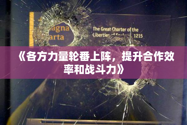 《各方力量轮番上阵，提升合作效率和战斗力》