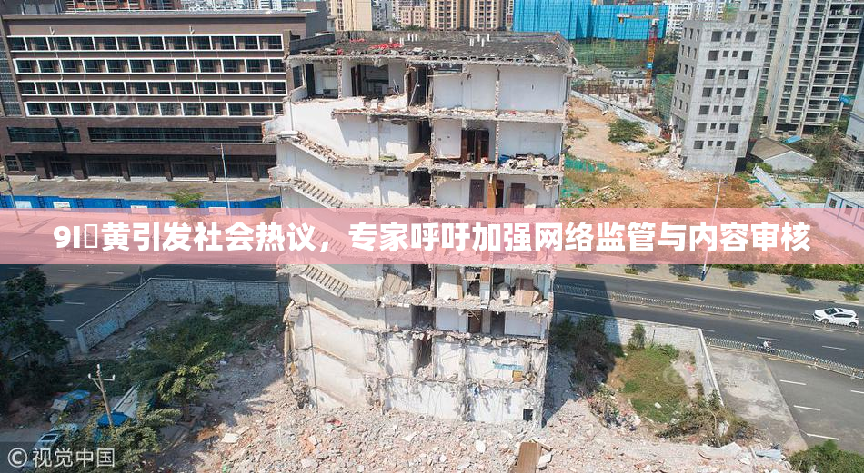 9I婬黄引发社会热议，专家呼吁加强网络监管与内容审核
