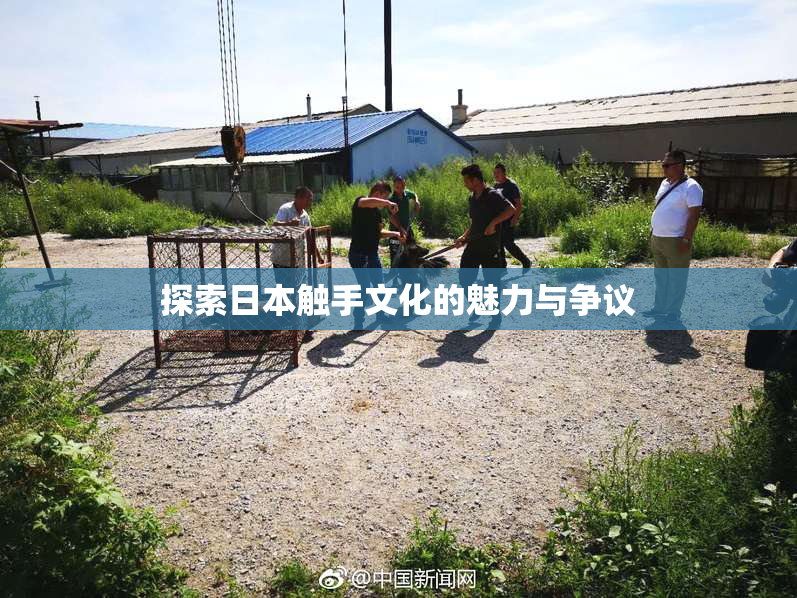 探索日本触手文化的魅力与争议