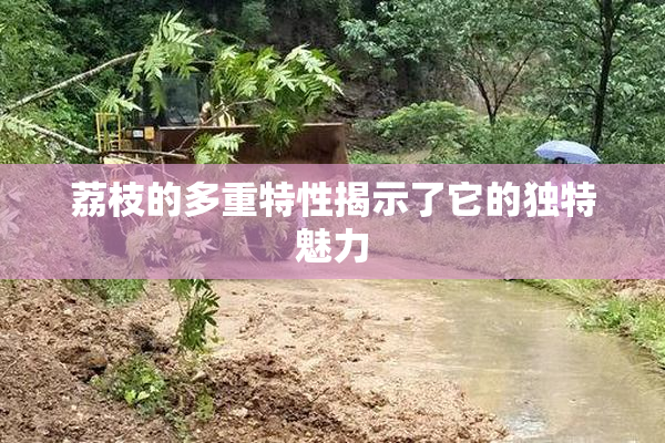 荔枝的多重特性揭示了它的独特魅力
