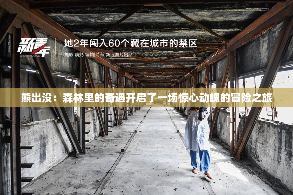 熊出没：森林里的奇遇开启了一场惊心动魄的冒险之旅