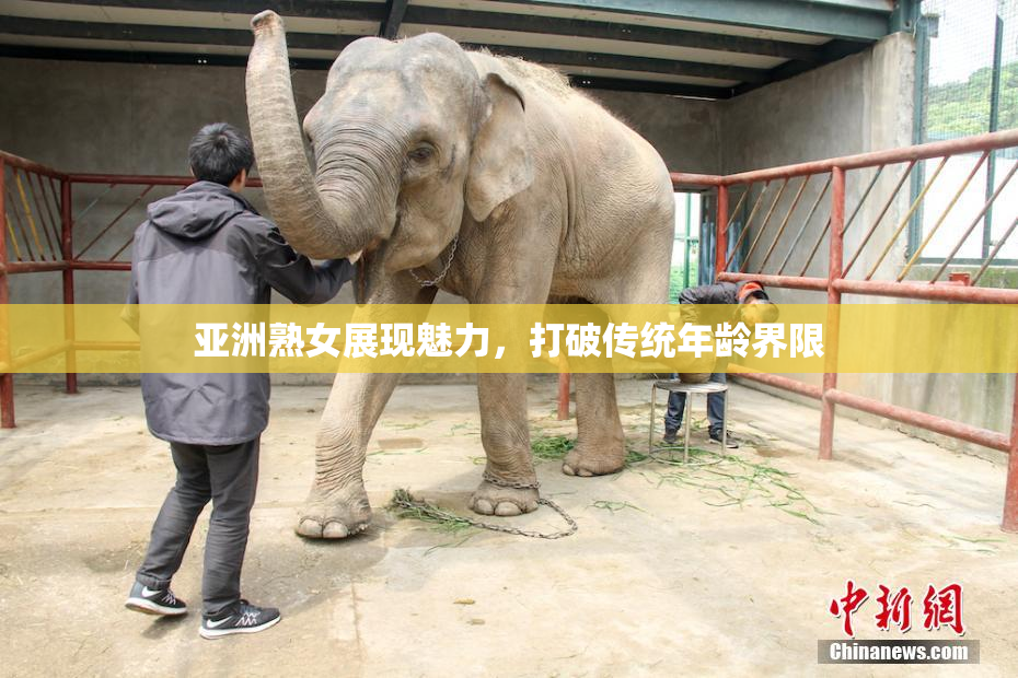 亚洲熟女展现魅力，打破传统年龄界限