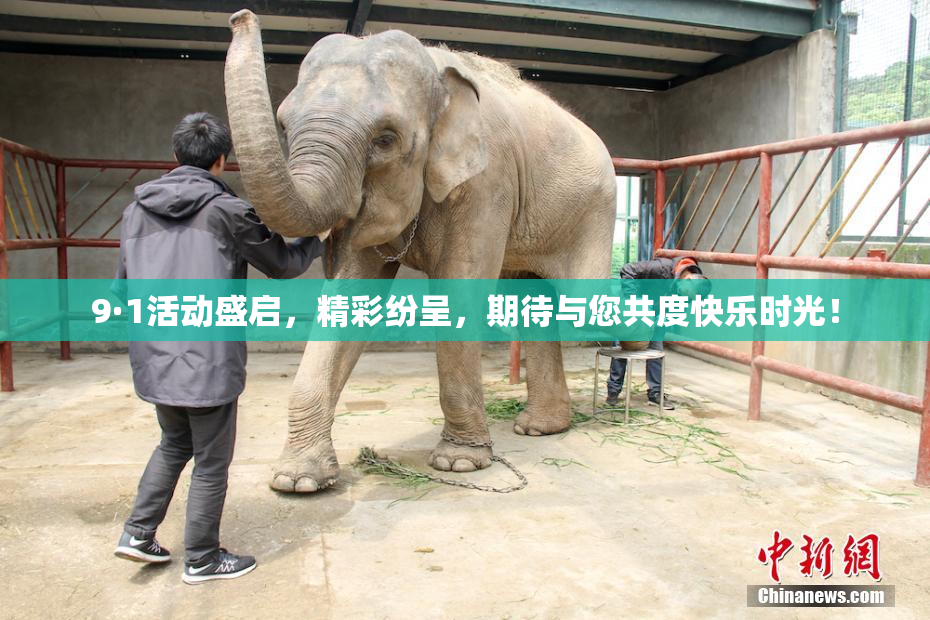 9·1活动盛启，精彩纷呈，期待与您共度快乐时光！
