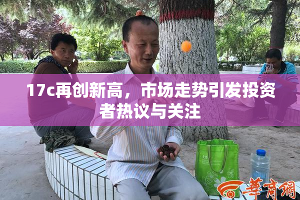 17c再创新高，市场走势引发投资者热议与关注