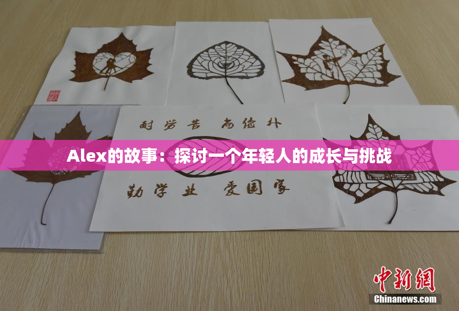 Alex的故事：探讨一个年轻人的成长与挑战