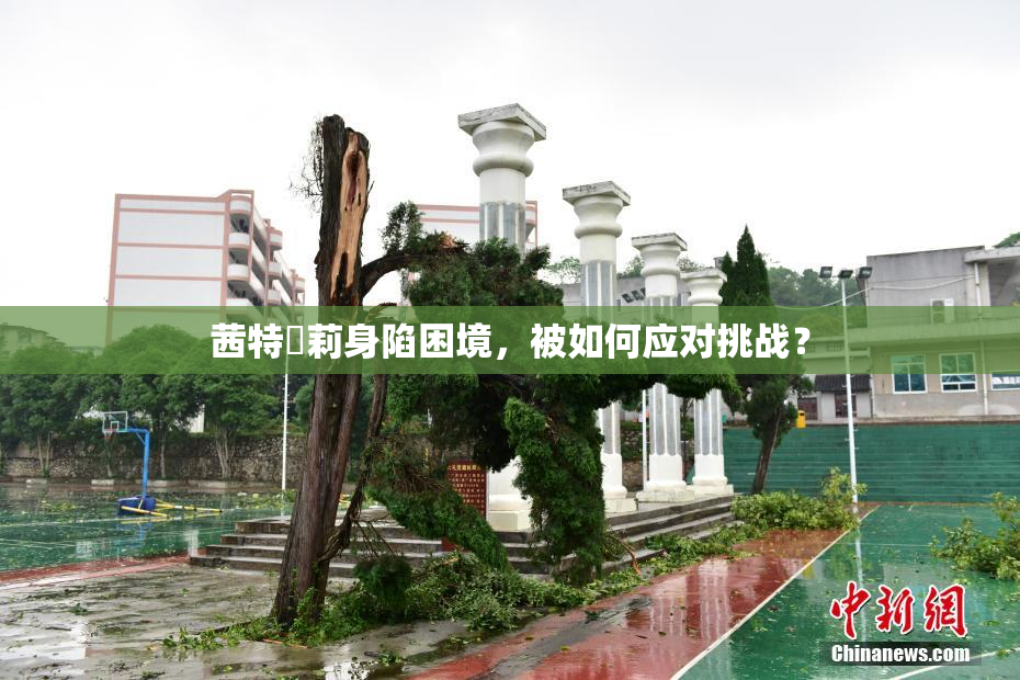 茜特菈莉身陷困境，被如何应对挑战？