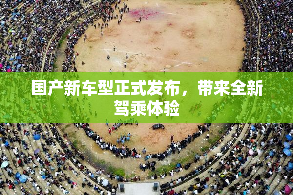 国产新车型正式发布，带来全新驾乘体验
