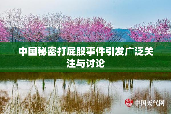 中国秘密打屁股事件引发广泛关注与讨论