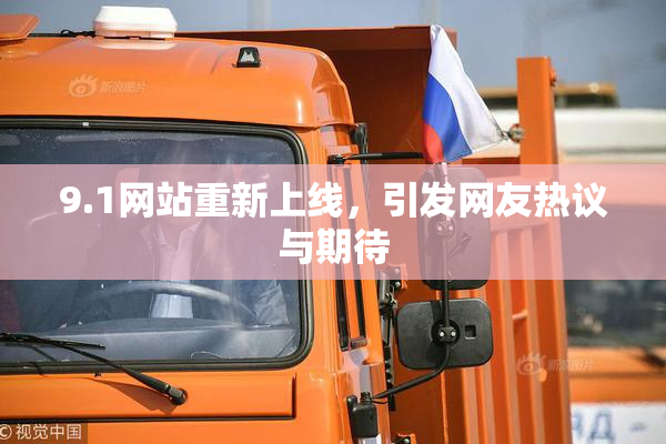 9.1网站重新上线，引发网友热议与期待