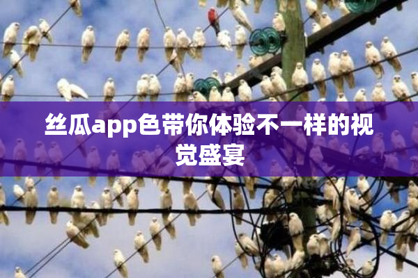 丝瓜app色带你体验不一样的视觉盛宴