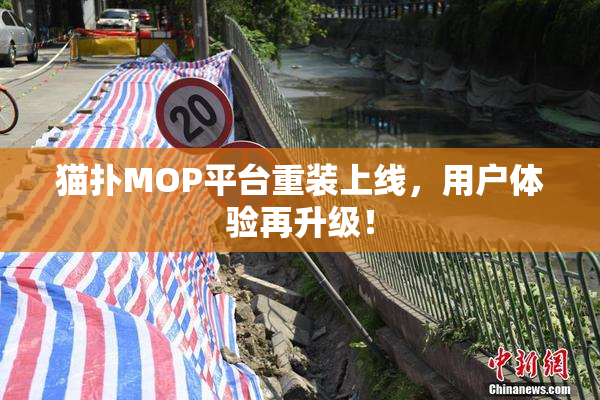 猫扑MOP平台重装上线，用户体验再升级！