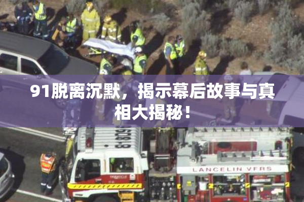 91脱离沉默，揭示幕后故事与真相大揭秘！