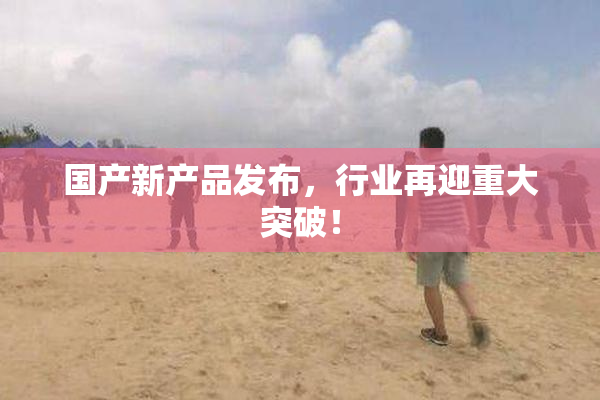 国产新产品发布，行业再迎重大突破！