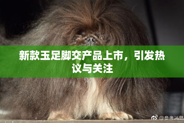 新款玉足脚交产品上市，引发热议与关注