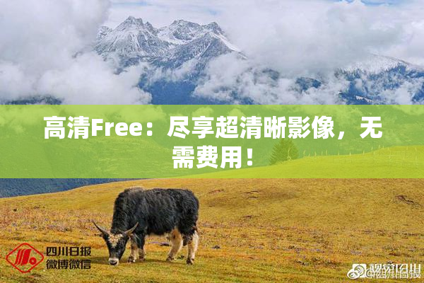 高清Free：尽享超清晰影像，无需费用！