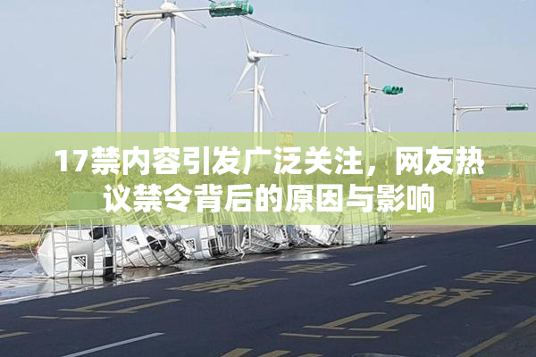 17禁内容引发广泛关注，网友热议禁令背后的原因与影响