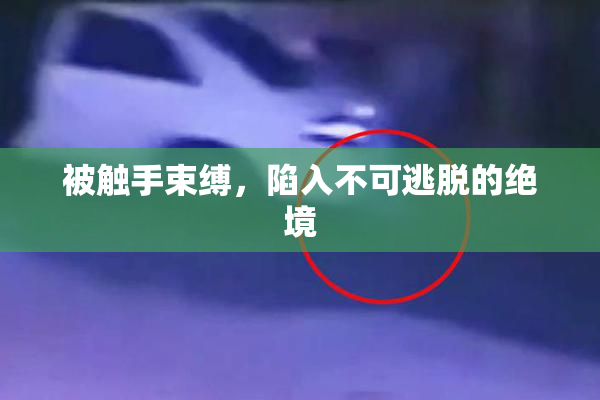 被触手束缚，陷入不可逃脱的绝境