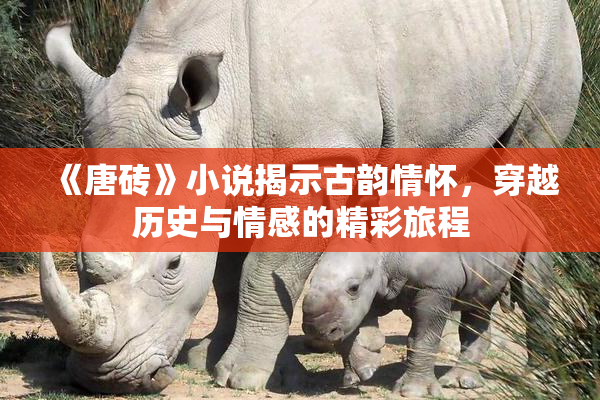 《唐砖》小说揭示古韵情怀，穿越历史与情感的精彩旅程