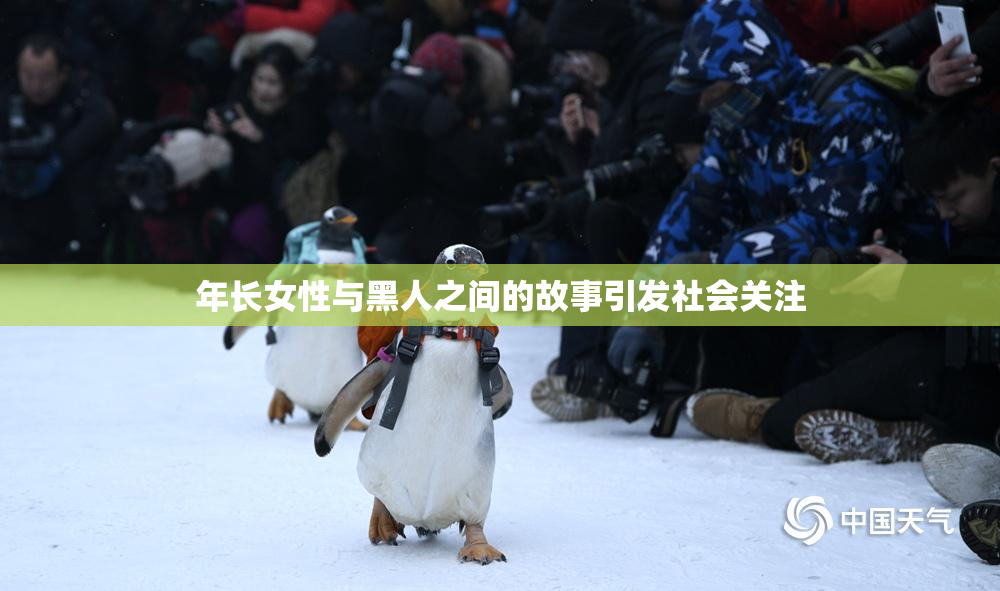 年长女性与黑人之间的故事引发社会关注