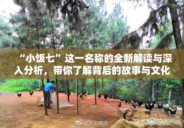 “小饭七”这一名称的全新解读与深入分析，带你了解背后的故事与文化。