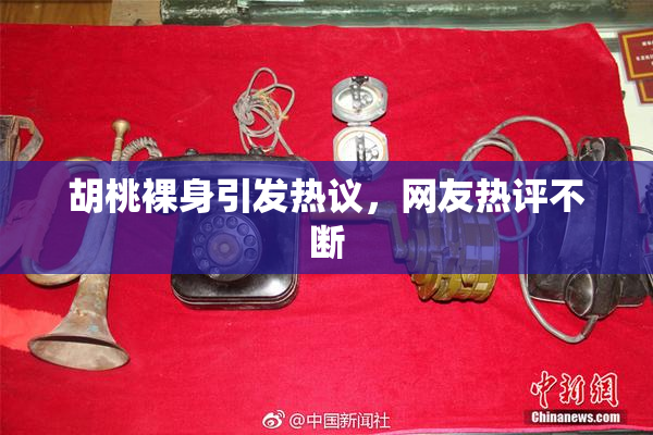 胡桃裸身引发热议，网友热评不断
