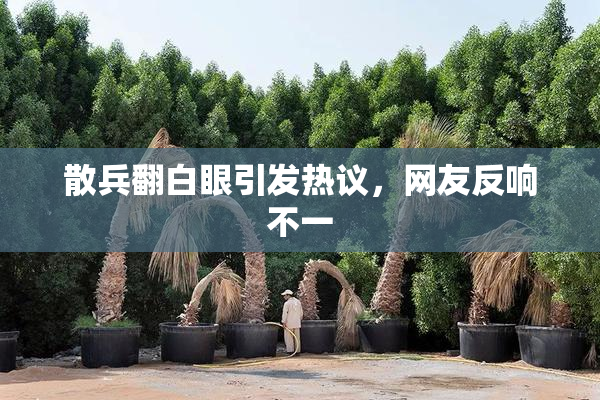 散兵翻白眼引发热议，网友反响不一