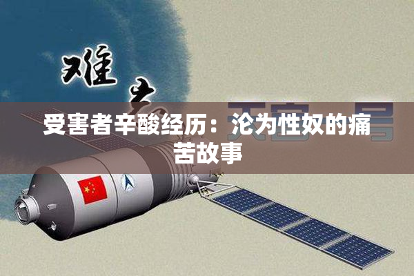 受害者辛酸经历：沦为性奴的痛苦故事