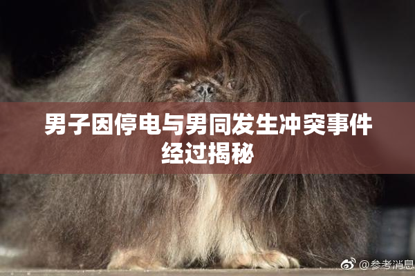 男子因停电与男同发生冲突事件经过揭秘