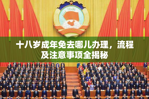十八岁成年免去哪儿办理，流程及注意事项全揭秘
