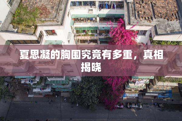夏思凝的胸围究竟有多重，真相揭晓