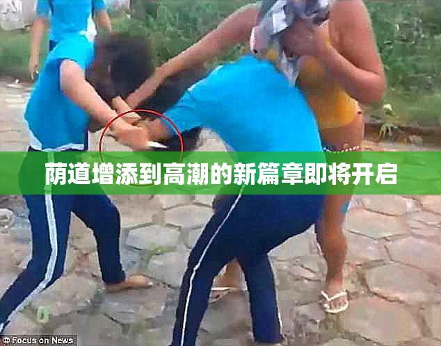 荫道增添到高潮的新篇章即将开启