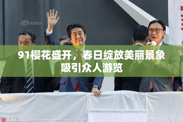 91樱花盛开，春日绽放美丽景象吸引众人游览