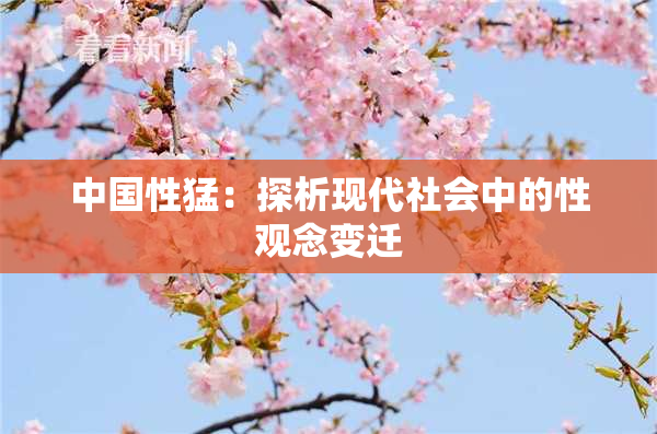 中国性猛：探析现代社会中的性观念变迁