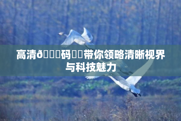 高清🈚码❌‌带你领略清晰视界与科技魅力
