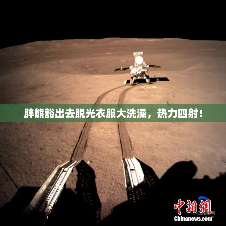 胖熊豁出去脱光衣服大洗澡，热力四射！