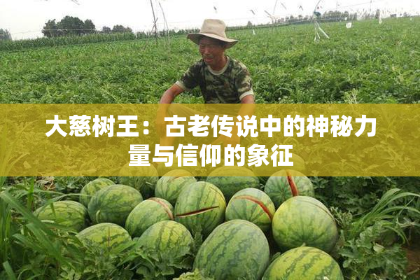 大慈树王：古老传说中的神秘力量与信仰的象征