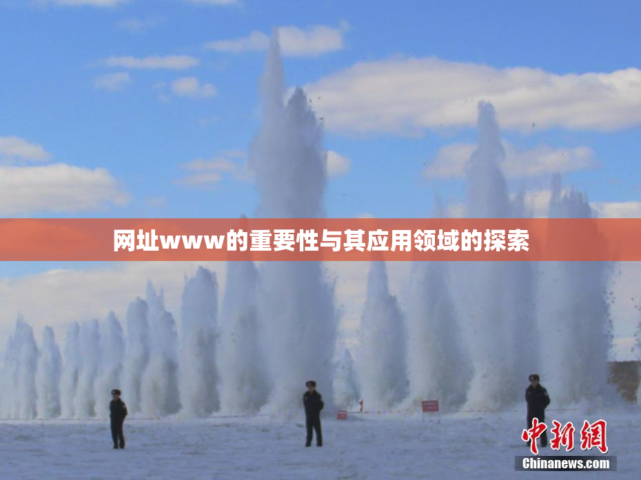网址www的重要性与其应用领域的探索
