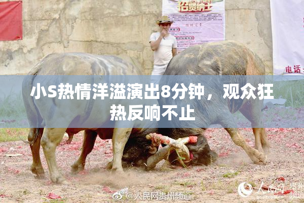 小S热情洋溢演出8分钟，观众狂热反响不止