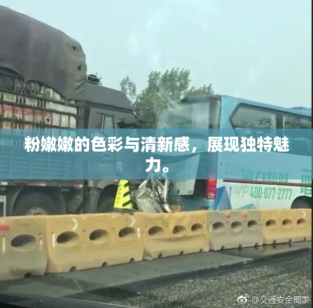 粉嫩嫩的色彩与清新感，展现独特魅力。