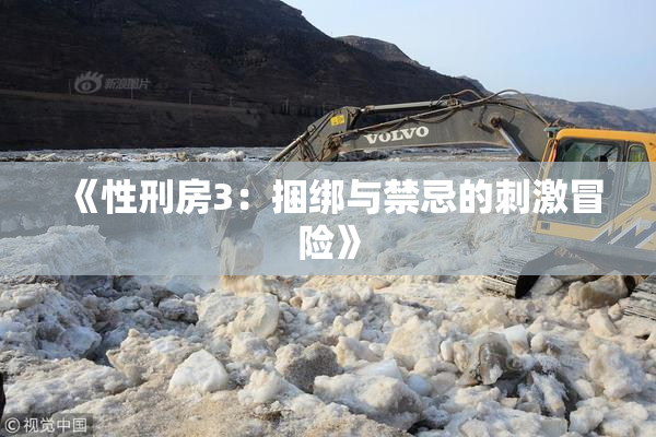 《性刑房3：捆绑与禁忌的刺激冒险》