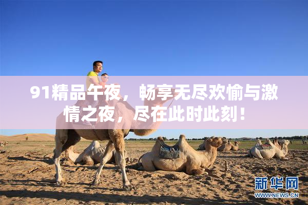 91精品午夜，畅享无尽欢愉与激情之夜，尽在此时此刻！