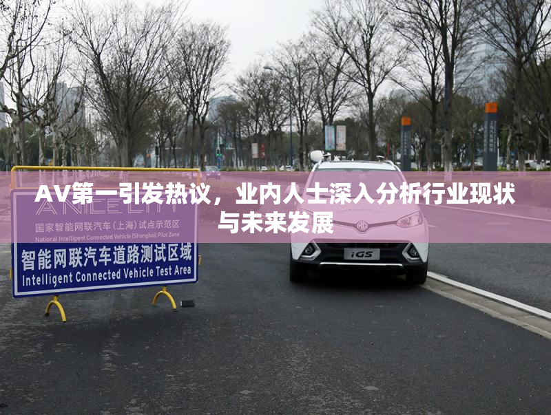 AV第一引发热议，业内人士深入分析行业现状与未来发展