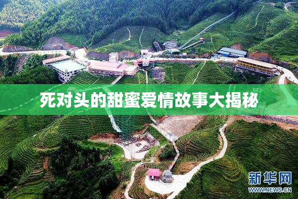 死对头的甜蜜爱情故事大揭秘