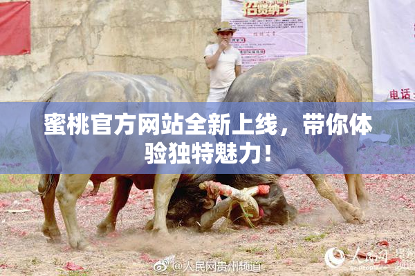 蜜桃官方网站全新上线，带你体验独特魅力！