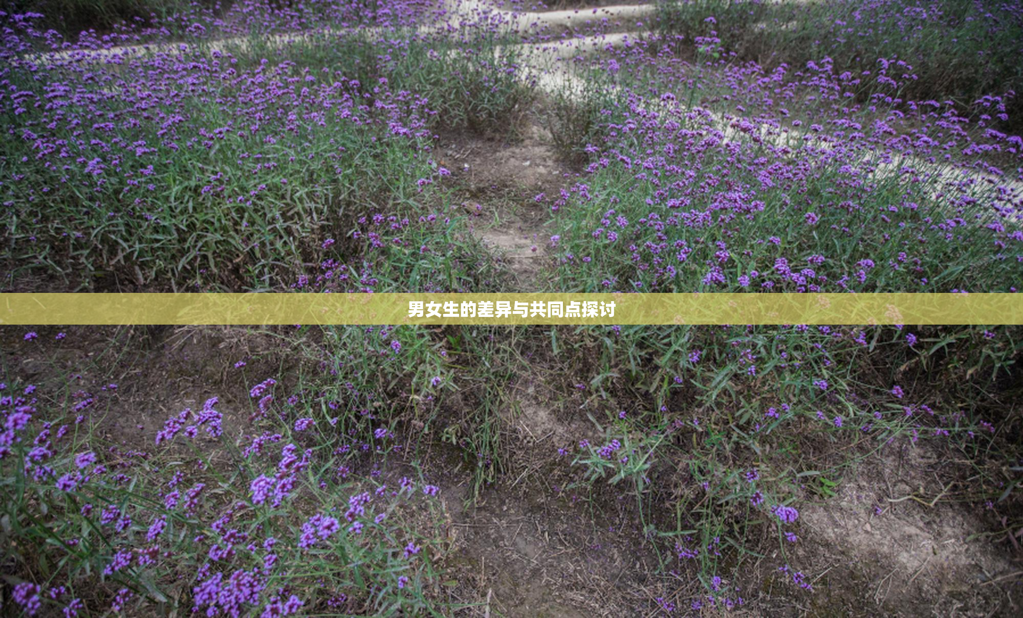 男女生的差异与共同点探讨