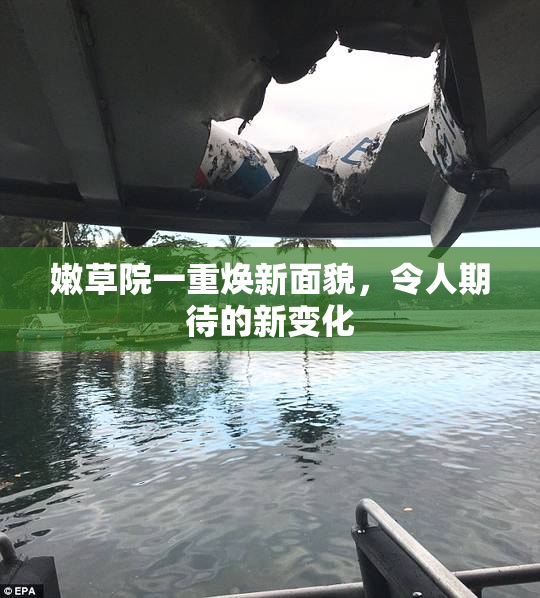 嫩草院一重焕新面貌，令人期待的新变化